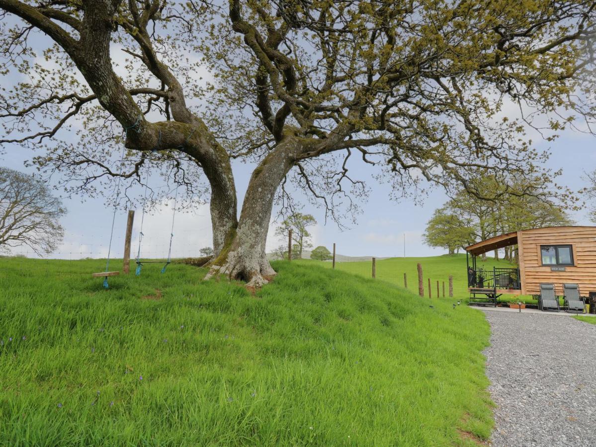 Villa Wild Acre à Llangadog Extérieur photo